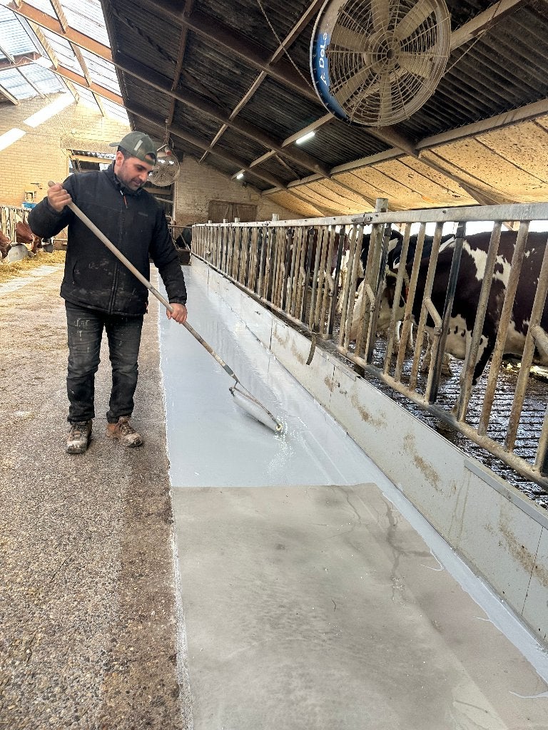 sols d'écurie, salle de traite, gouttières d'alimentation
