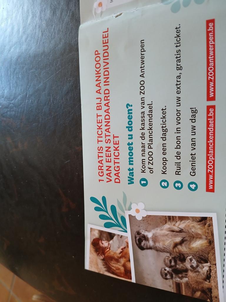 1+1 zoo Antwerpen /planckendael, Tickets en Kaartjes