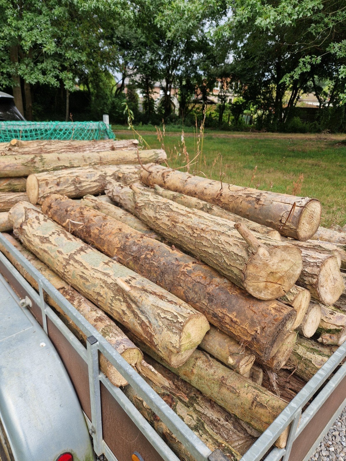 Brandhout op stammetjes 100€ per volle aanhanger, Ophalen, Overige houtsoorten, Stammen