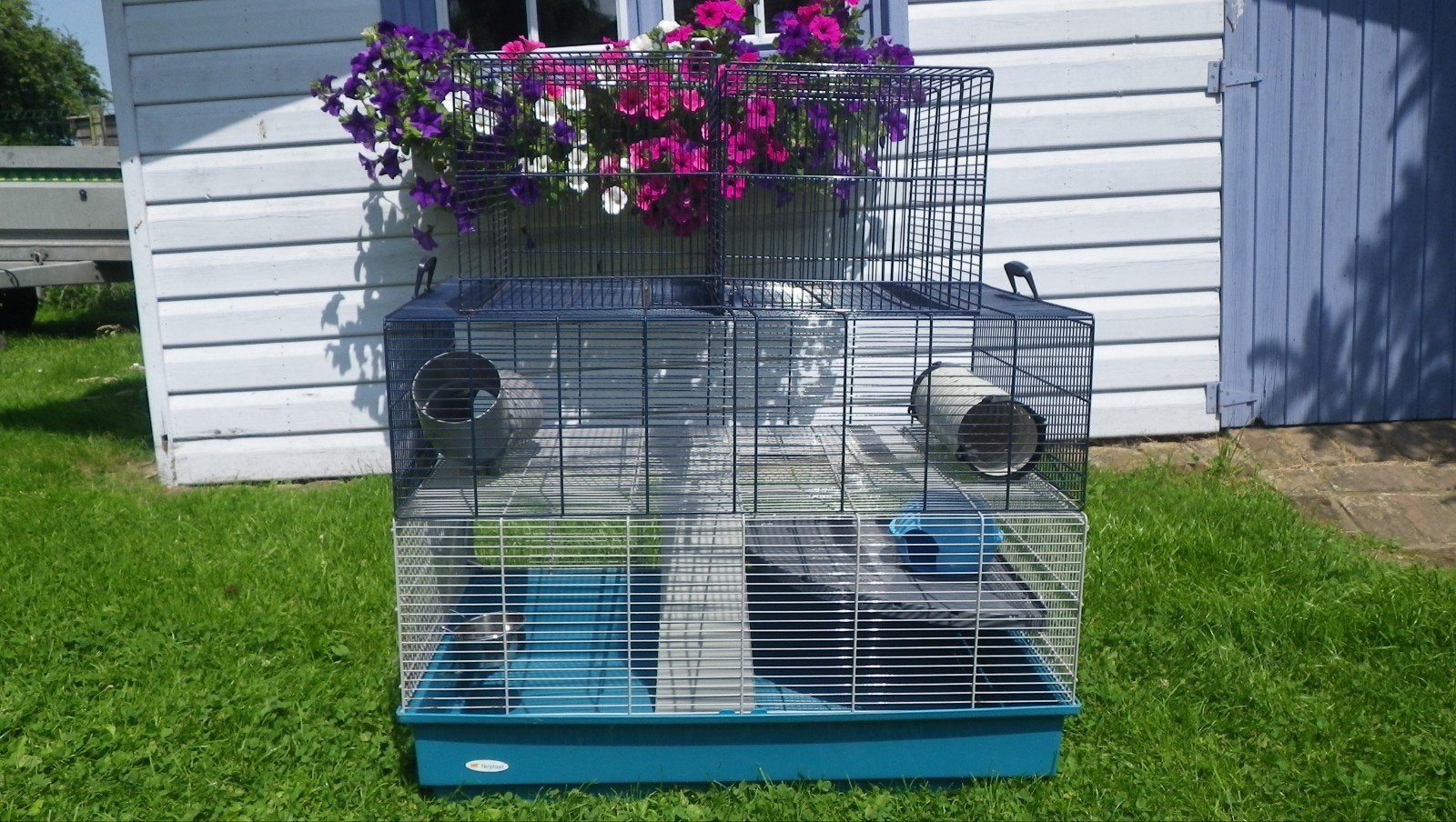 cage pour petits animaux domestiques, Animaux & Accessoires, Enlèvement, Utilisé