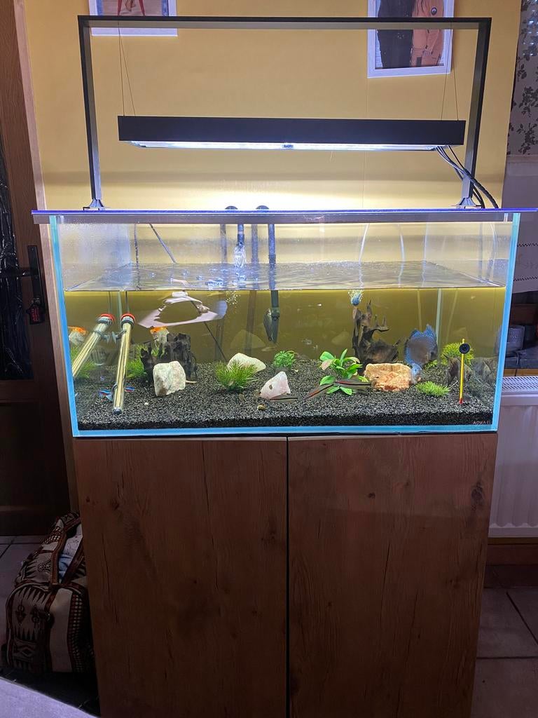 Aquarium te koop, Dieren en Toebehoren, Ophalen, Zo goed als nieuw