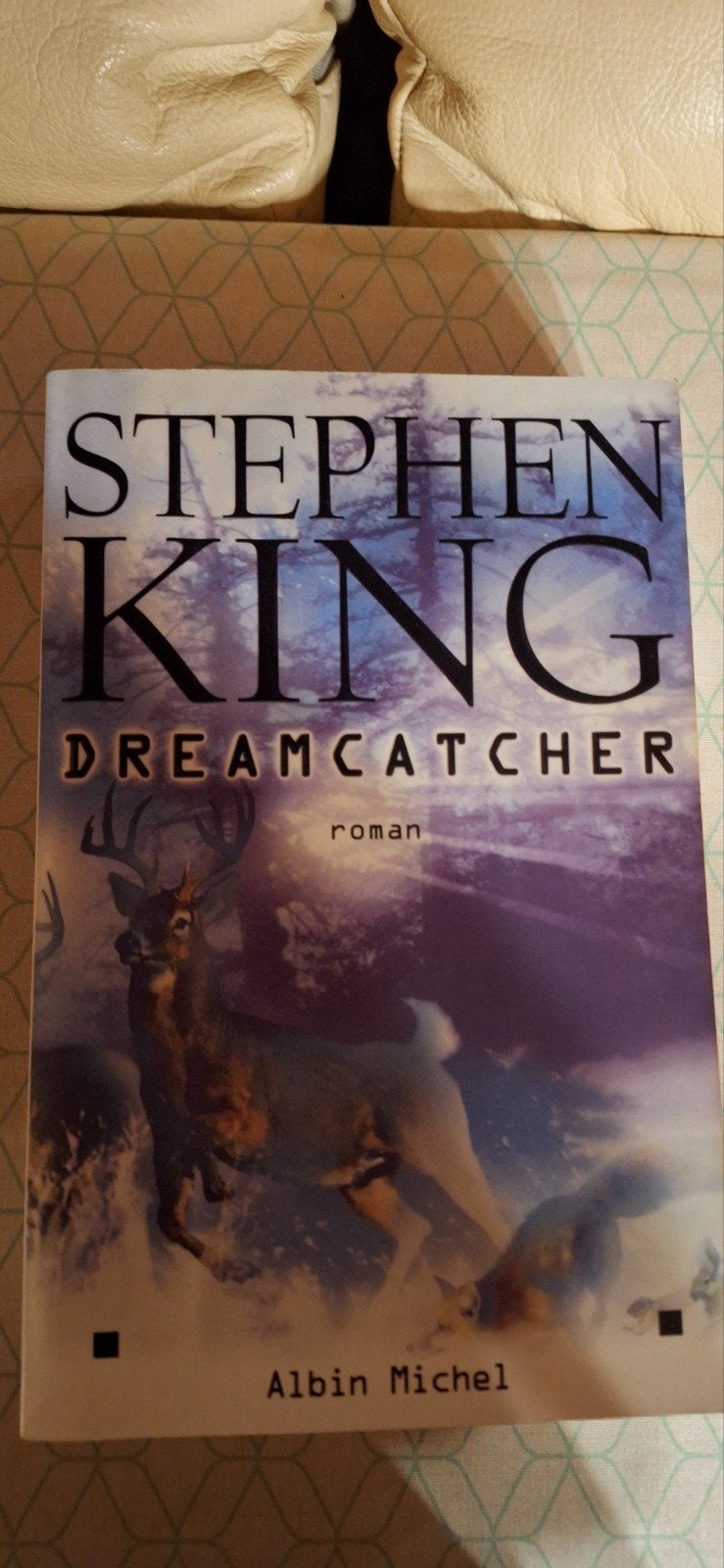 Stephen King - Dreamcatcher, Livres, Enlèvement, Stephen King