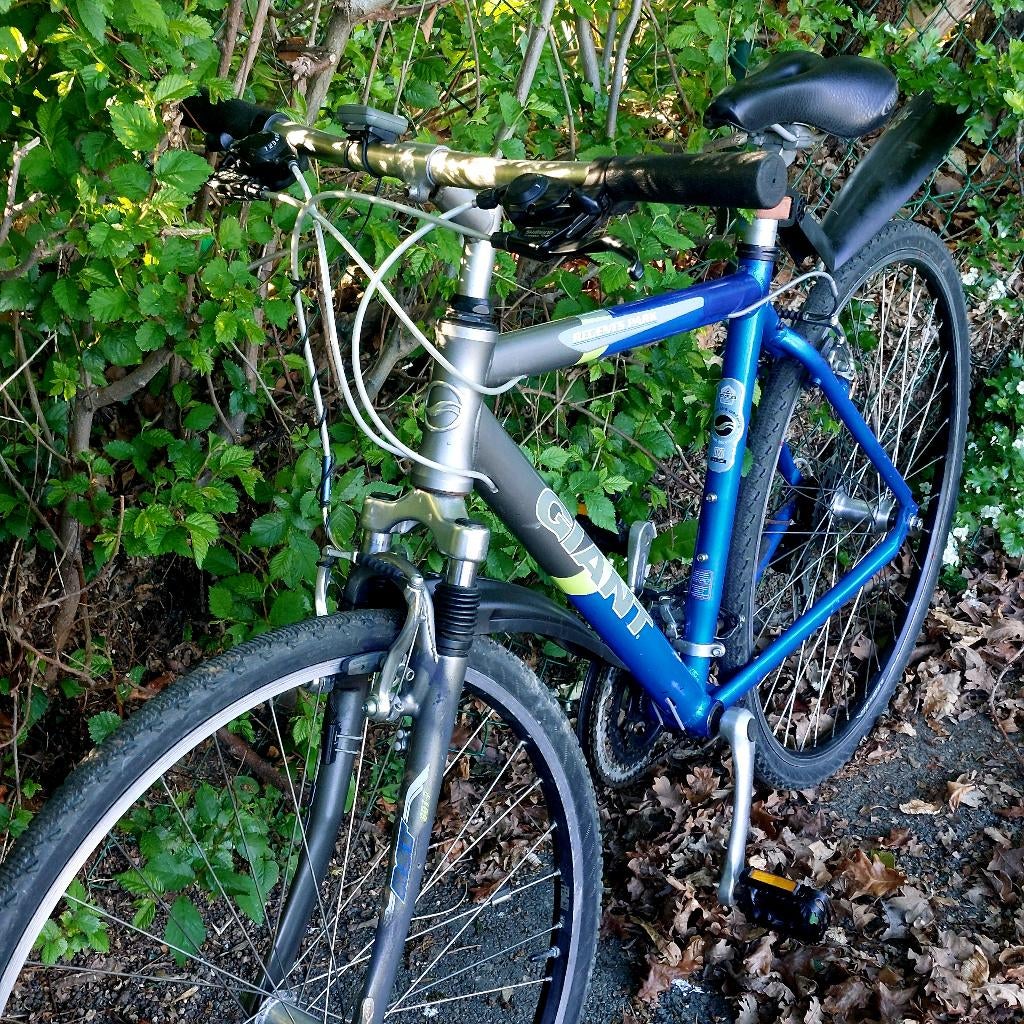 Velo, Fietsen en Brommers, Ophalen of Verzenden, Giant, Versnellingen
