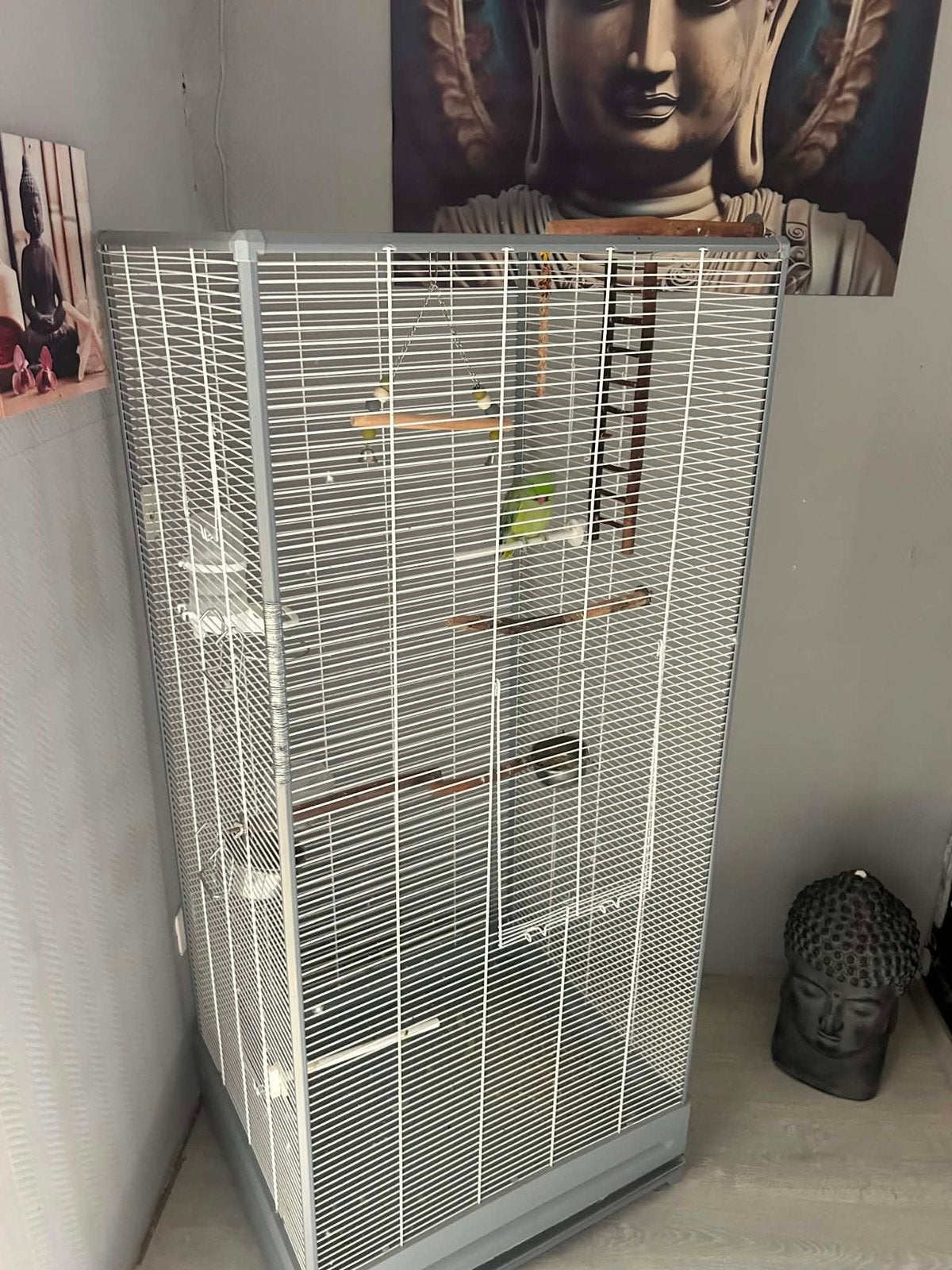 Cage avec collier, Animaux & Accessoires, Oiseaux | Cages & Volières, Enlèvement, Comme neuf