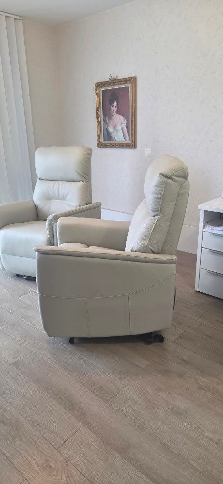Deux nouveaux défrisants en cuir, Maison & Meubles, Fauteuils, Klasiek, Enlèvement, 50 à 75 cm, Cuir