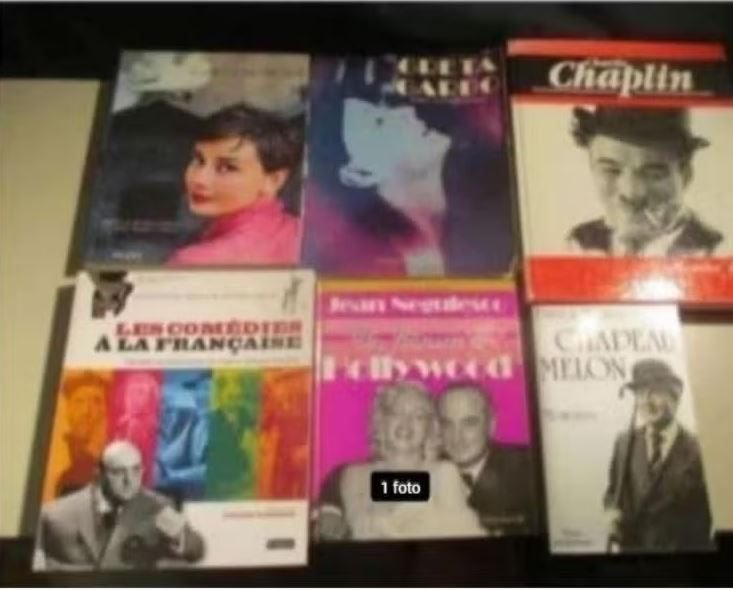 6 Prima Franstalige Boeken over bekende Acteurs / Actrices, Boeken, Biografieën, Zo goed als nieuw, Film, Tv en Media, Ophalen of Verzenden