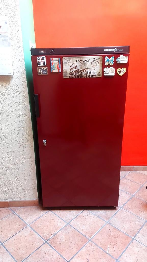 Cave à vin climatisée., Enlèvement, Utilisé, Autres types