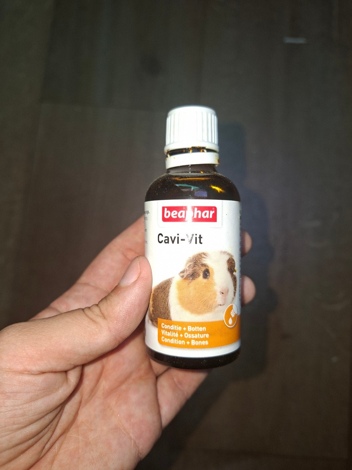 Cavias spullen, Animaux & Accessoires, Rongeurs, Juillet, Sexe inconnu, Autres types