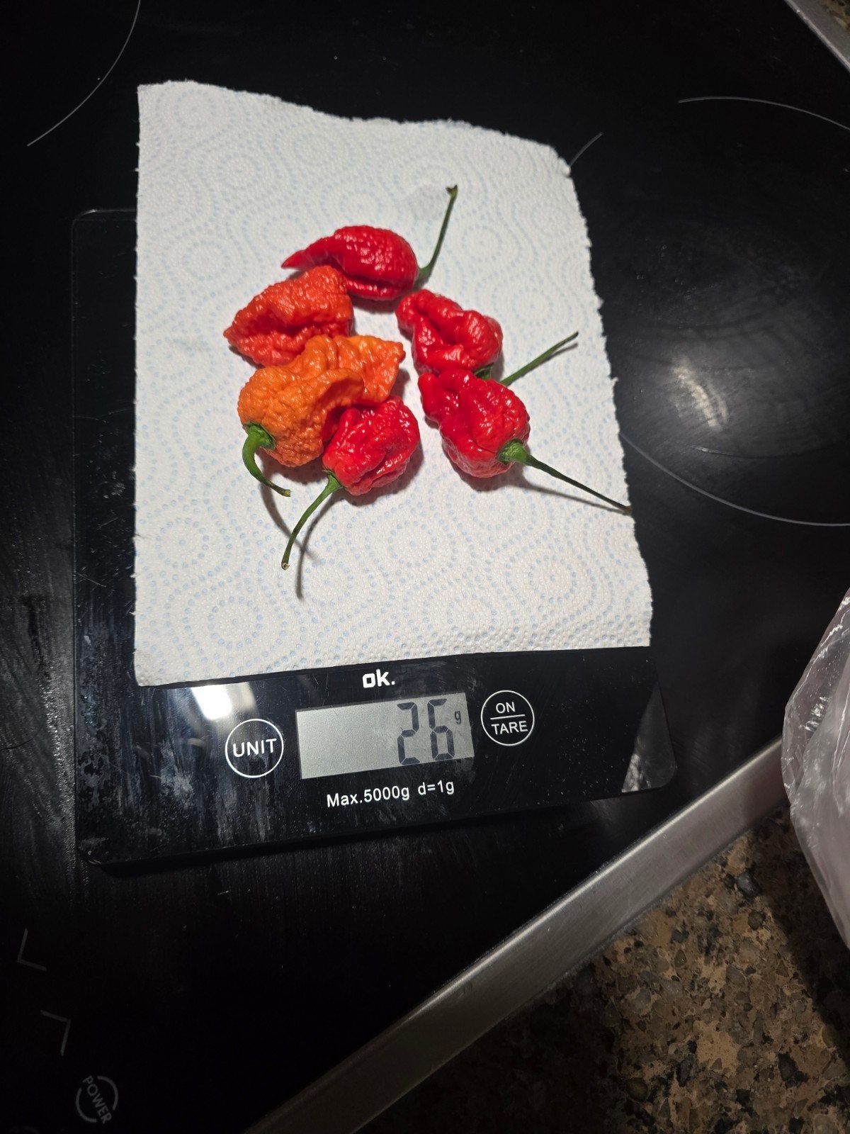 Carolina reaper  peper, Tuin en Terras, Planten | Tuinplanten, Ophalen
