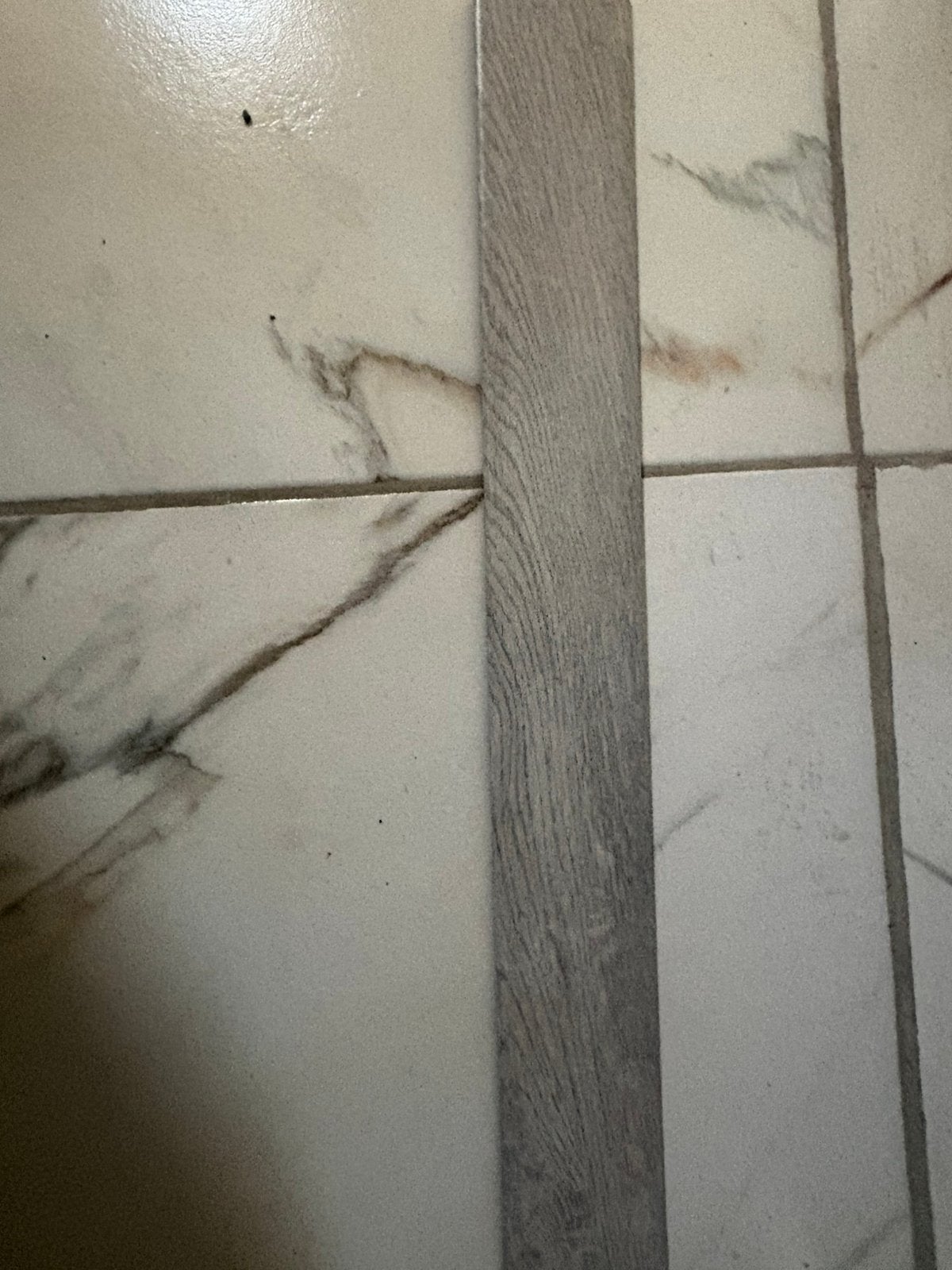 Plinten, Ophalen of Verzenden, Nieuw, Hardsteen, Plinten