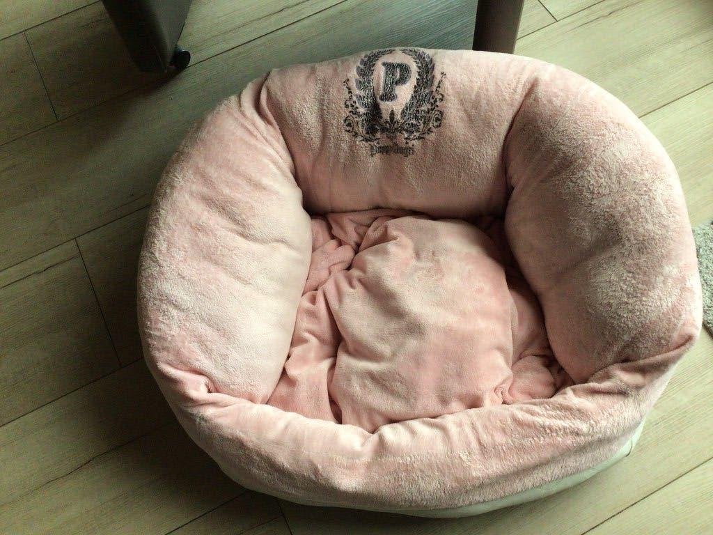 Mand puppy Angel, Ophalen, Gebruikt