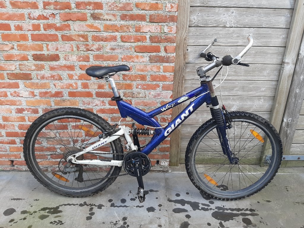 Mountainbike Giant 26", Fietsen en Brommers, Ophalen, Gebruikt, Giant, 53 tot 57 cm