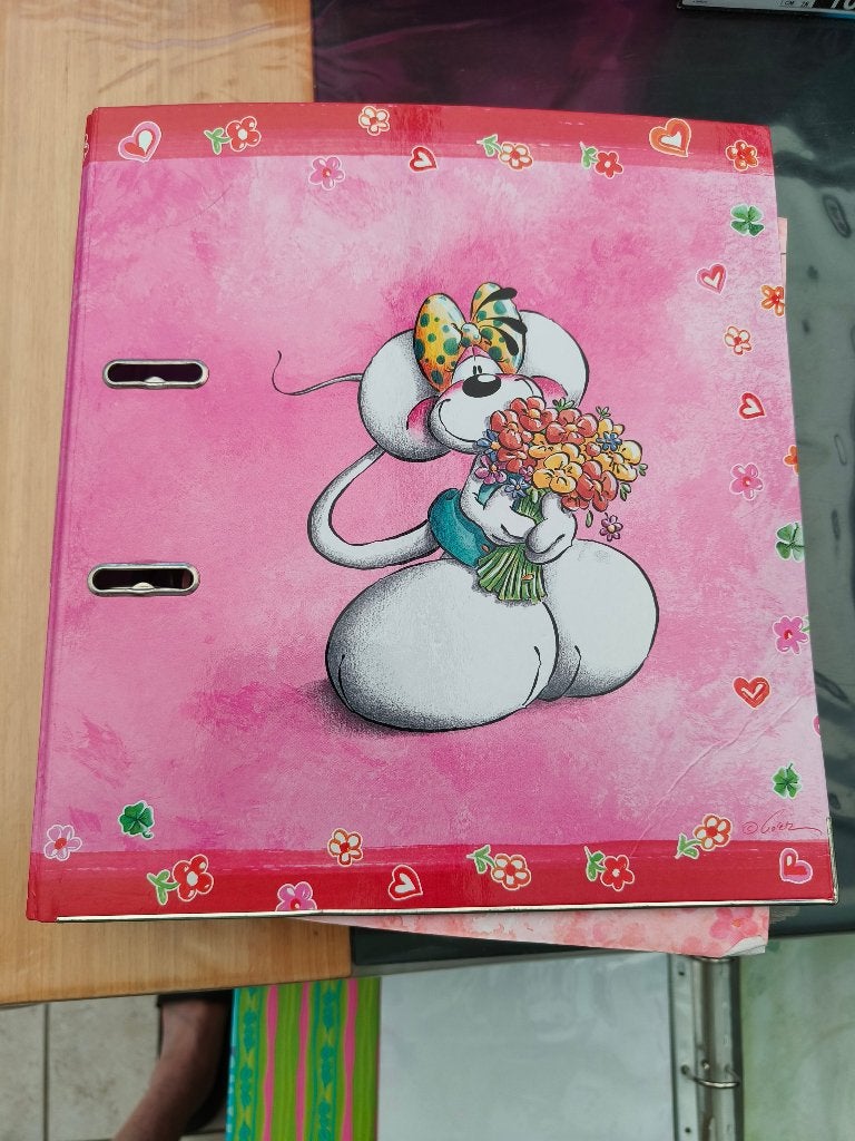 Diddl pakket jaren 2000, Verzamelen, Ophalen, Diddl, Zo goed als nieuw