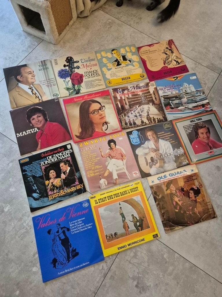 40 LP's - Platen, Ophalen, LP
