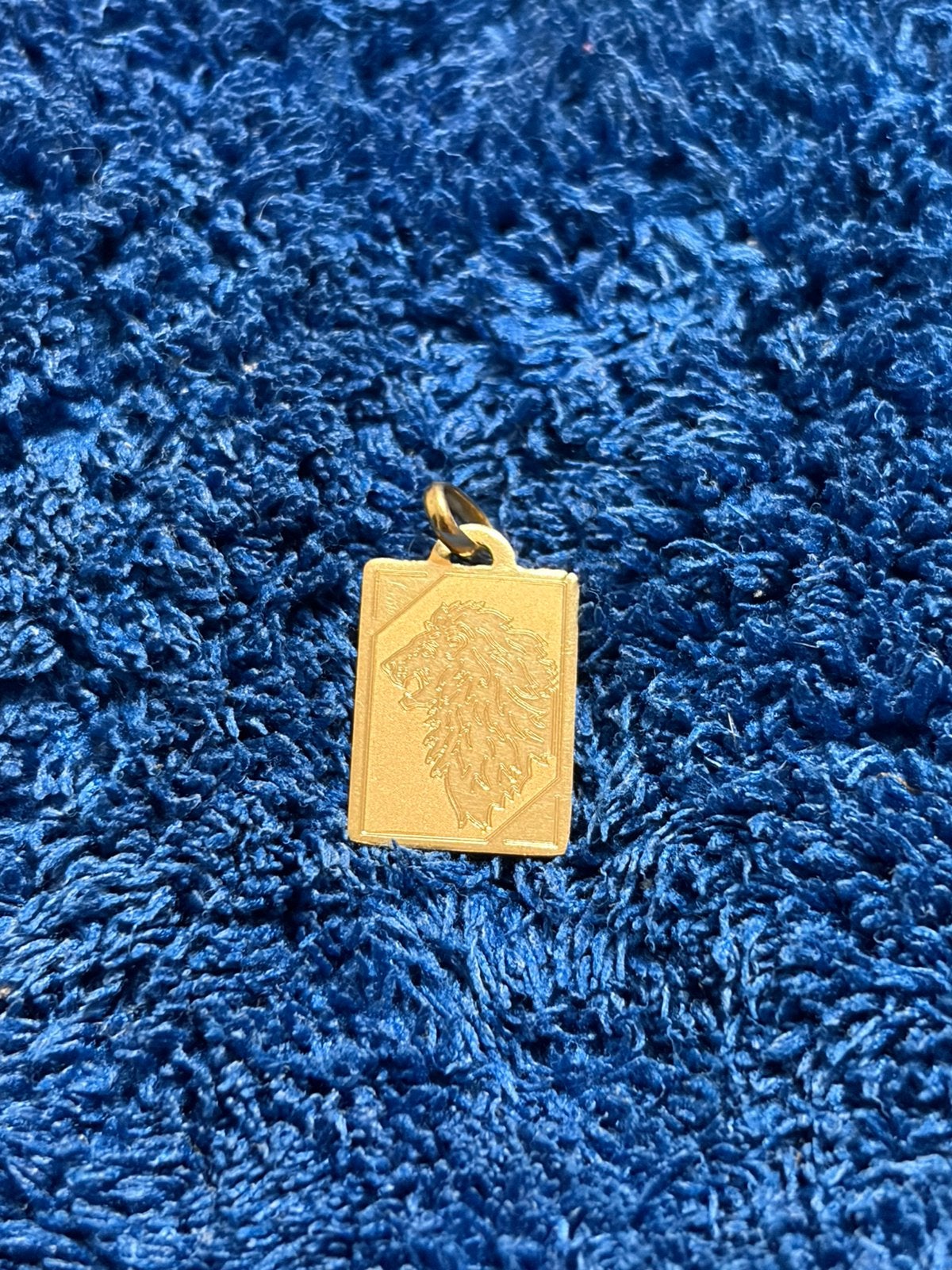 Médaille lion, Bijoux, Sacs & Beauté, Enlèvement, Comme neuf