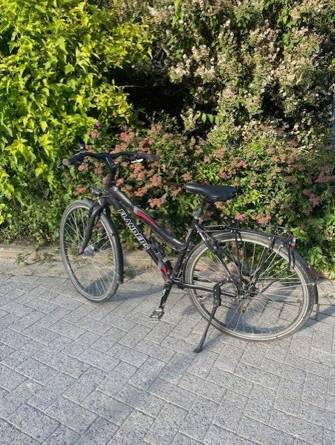 stadsfiets, Gebruikt, Velgrem, (Extra) lage instap, 50 tot 53 cm