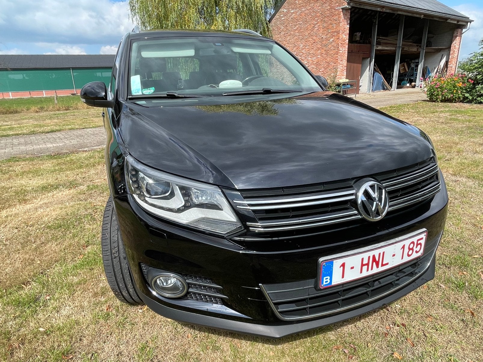 Tiguan, Cuir, Achat, Diesel, Particulier