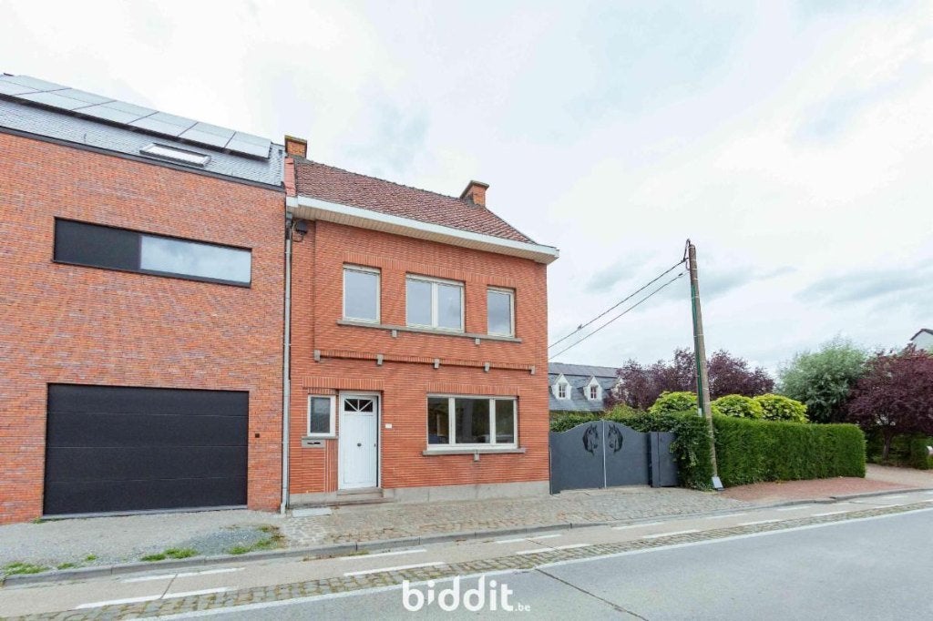 te BuggenhoutGerenoveerd huis/hoeve,loods,weide,stal EPC-B, Dieren en Toebehoren, Opfok, 4 paarden of pony's of meer