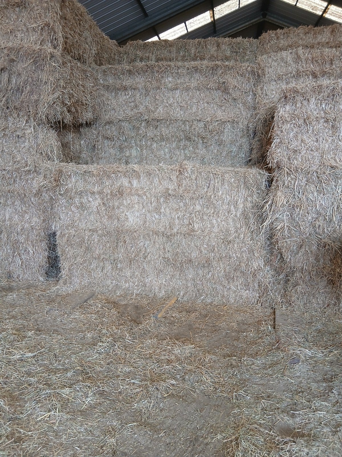 gros paquets de foin de 2m40 de long, Enlèvement
