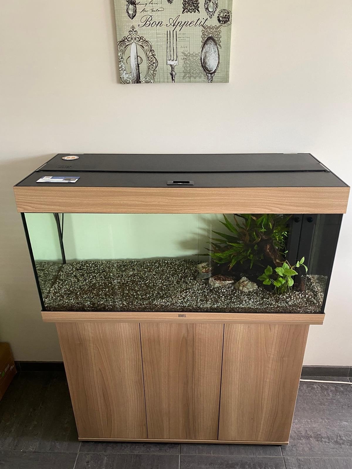 Juwel Rio 180 LED Aquarium 180L, Dieren en Toebehoren, Ophalen, Pomp, Filter, Juwel