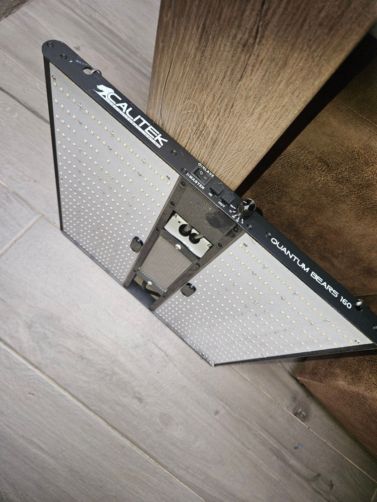 quantum bears 160w, Enlèvement