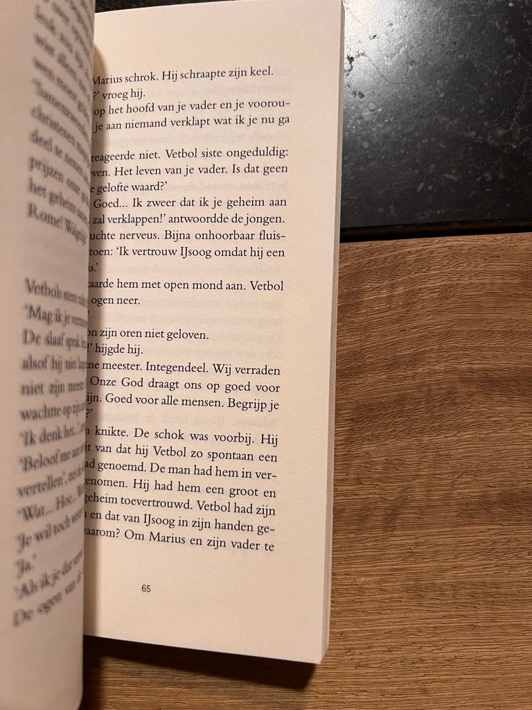 Vikings ontdekken Amerika - R.H. Schoemans, Gelezen, R.H. Schoemans, Ophalen of Verzenden, Fictie