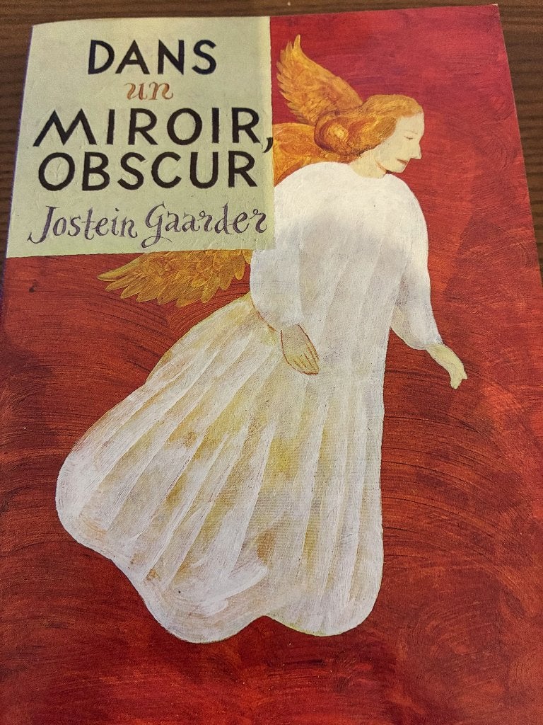 Dans un  miroir obscure de Jostein Gaarder, Livres, Romans, Comme neuf, Enlèvement ou Envoi