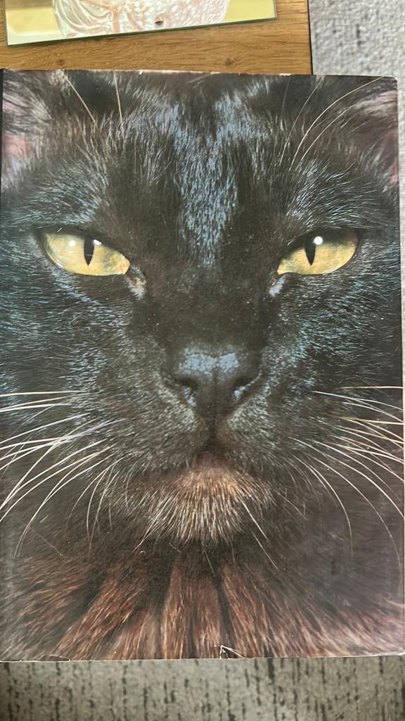 Artis historia “ de wondere wereld der katten., Ophalen