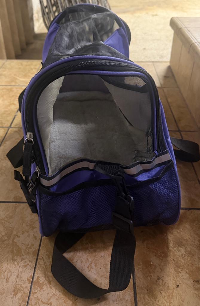 Bench klein draagbaar kat/hond opplooibaar vervoeren, Gebruikt, Minder dan 30 cm, 25 tot 40 cm, Ophalen