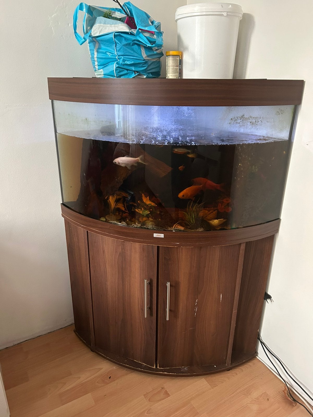 Aquarium XL, Dieren en Toebehoren, Ophalen, Zo goed als nieuw