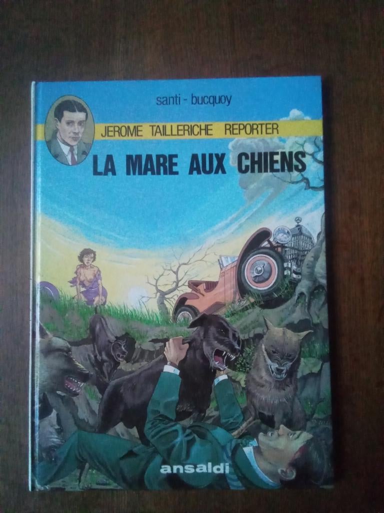 B.D. Jerome Tailleriche (1984), Livres, BD, Enlèvement ou Envoi