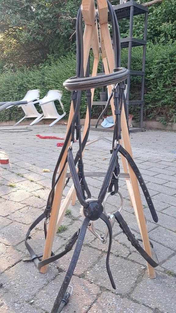 Mexicaans hoofstel met wol onderlegd, Enlèvement, Utilisé, Récréation