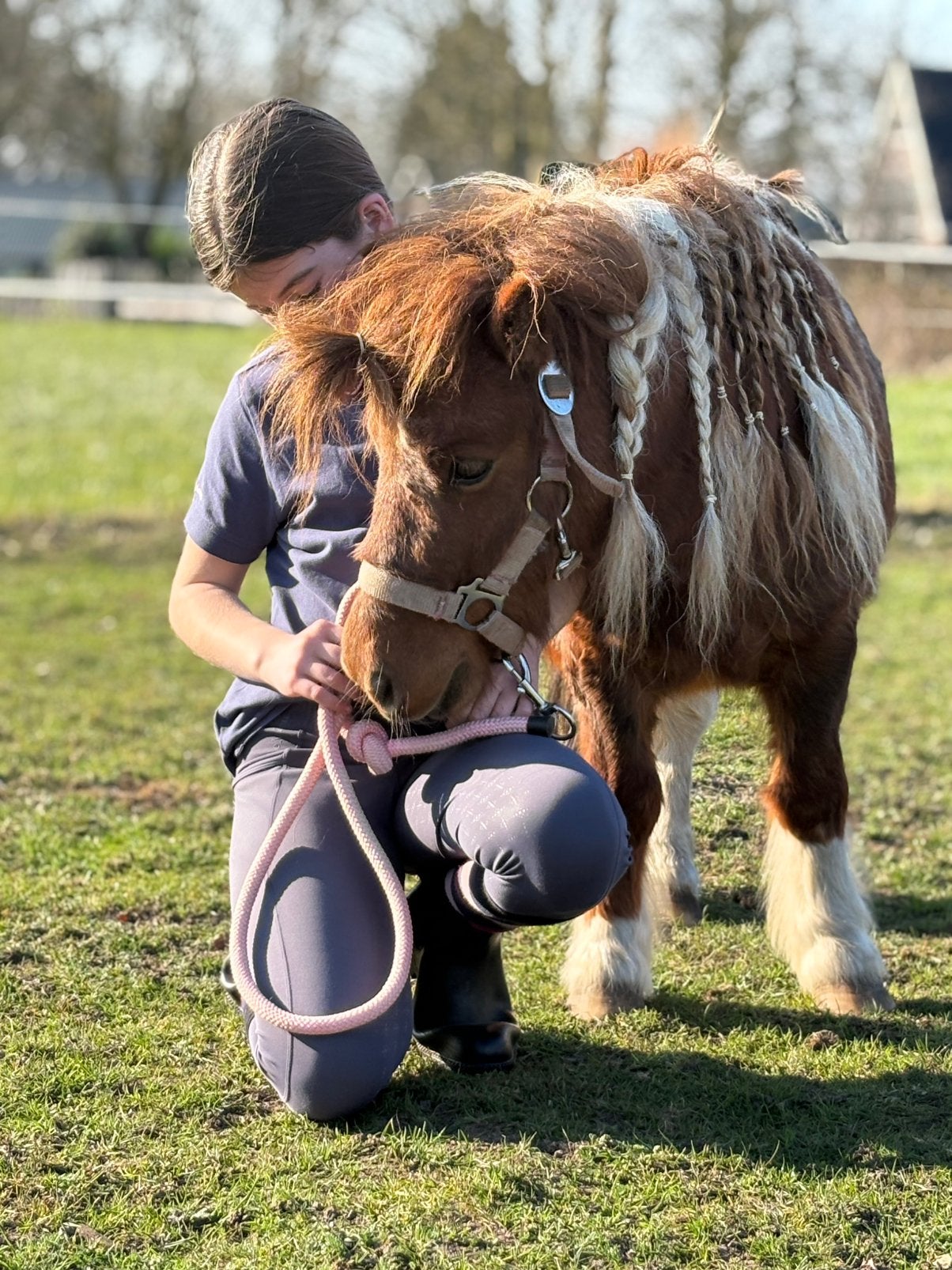 Stalhulp aangeboden, Dieren en Toebehoren, Ophalen of Verzenden