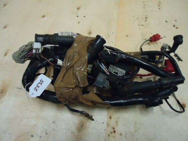 CBR900 2000 - 2001 Honda Kabelboom Kabelboom hoofd D1-16762