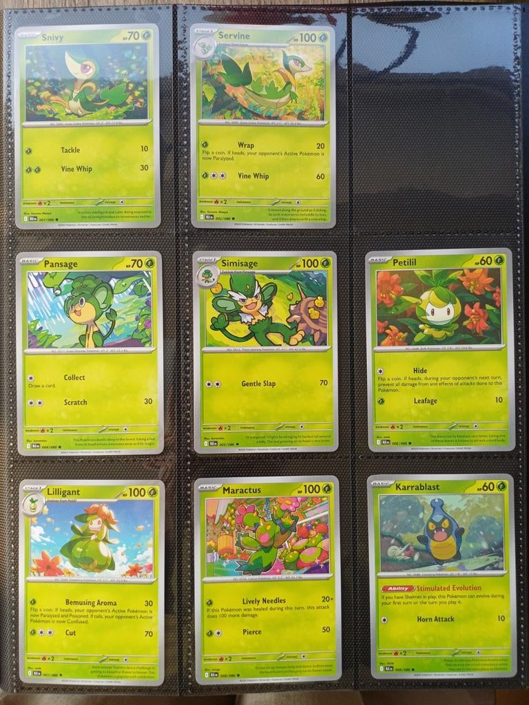 Black Bolt SET STARTER - 80 Pokémon kaarten, Verzenden, Zo goed als nieuw, Meerdere kaarten