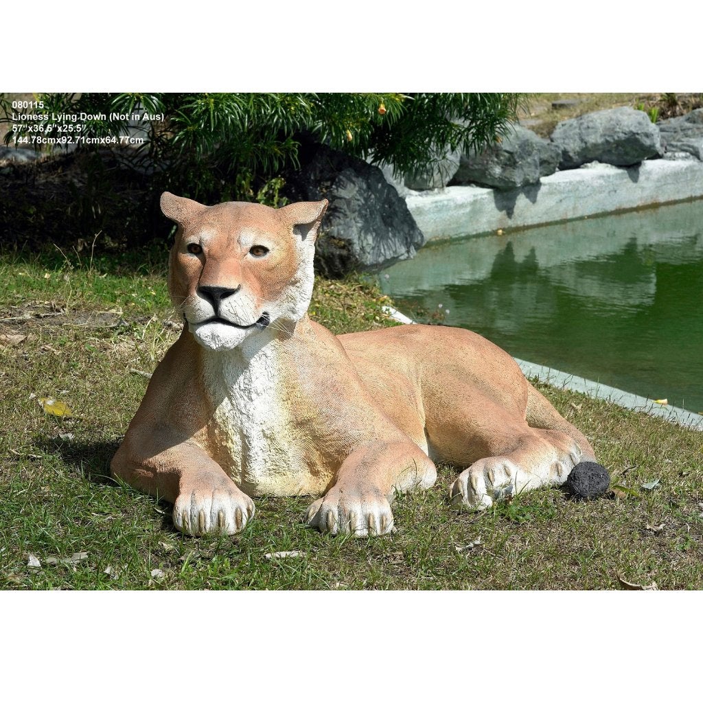 Lioness Lying Down – Leeuw beeld Lengte 145 cm, Ophalen, Nieuw