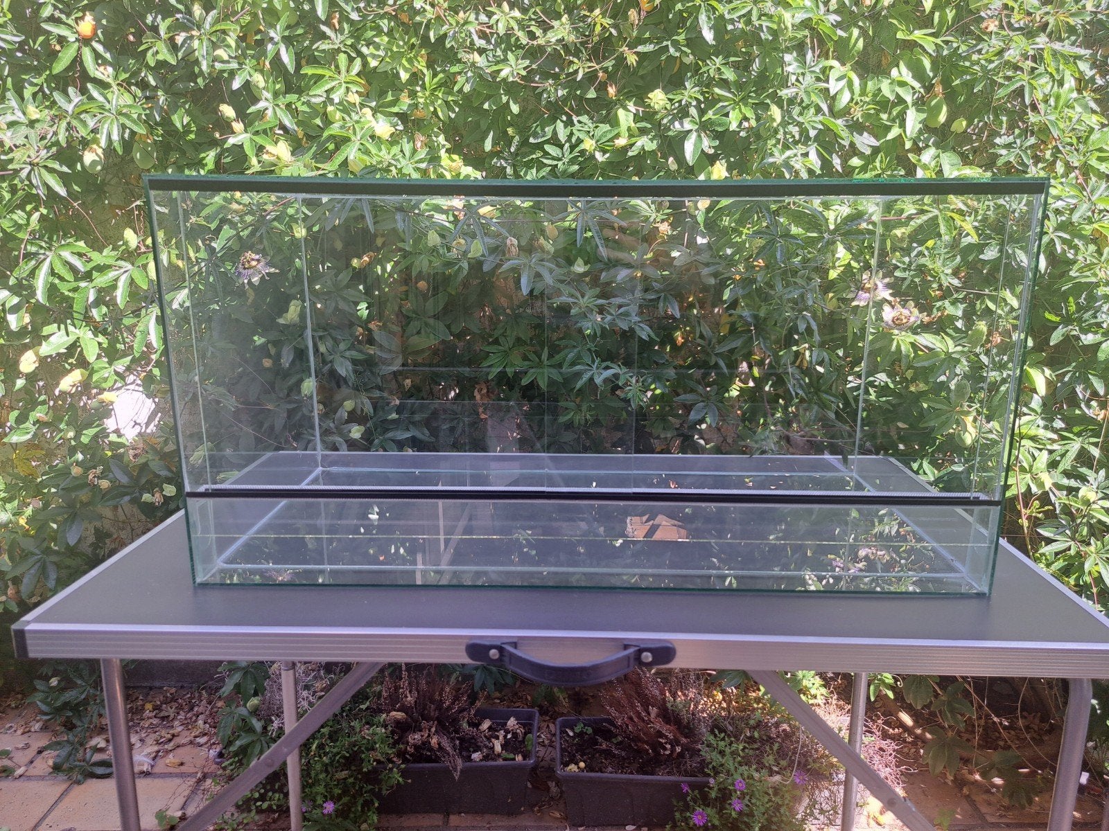 Terrarium 80x40x40, Dieren en Toebehoren, Ophalen, Gebruikt, Terrarium of Paludarium