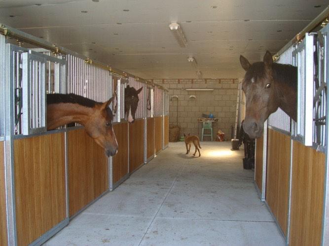Paardenboxen, paardenstallen, stallen, voorwanden, zijwanden, Dieren en Toebehoren, Stalling en Weidegang, Opfok, Stalling, Accessoires