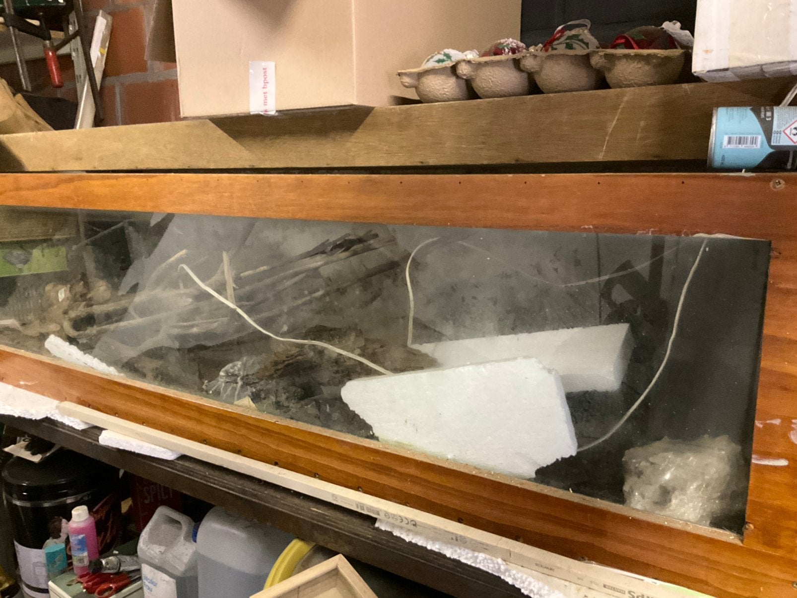 Grote zelfgemaakte aquarium - dik glas 178 x 60 x 46, Ophalen, Gebruikt, Terrarium of Paludarium