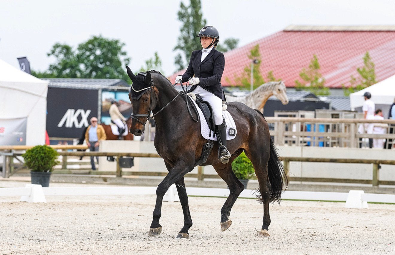 Dressuurles aan huis of op verplaatsing, Dieren en Toebehoren, Paarden
