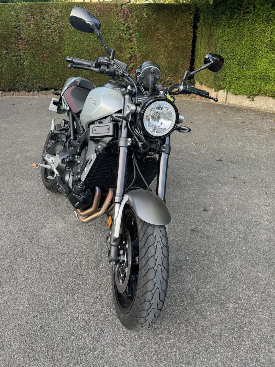 Xsr 900, Particulier, Handgeschakeld, Naked bike