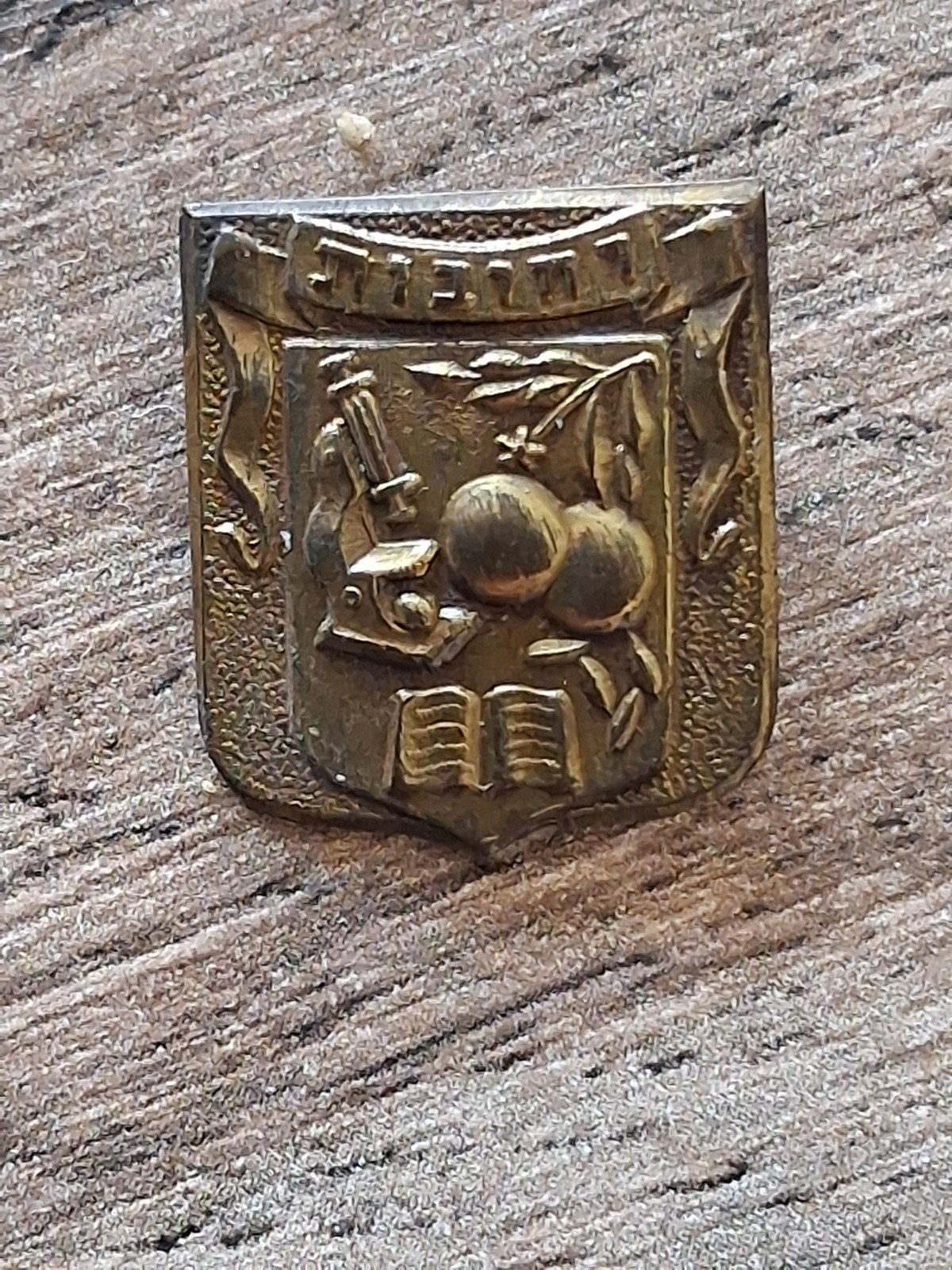 Épinglette : ancienne épingle israélienne de la communauté d, Collections, Broches, Pins & Badges, Envoi