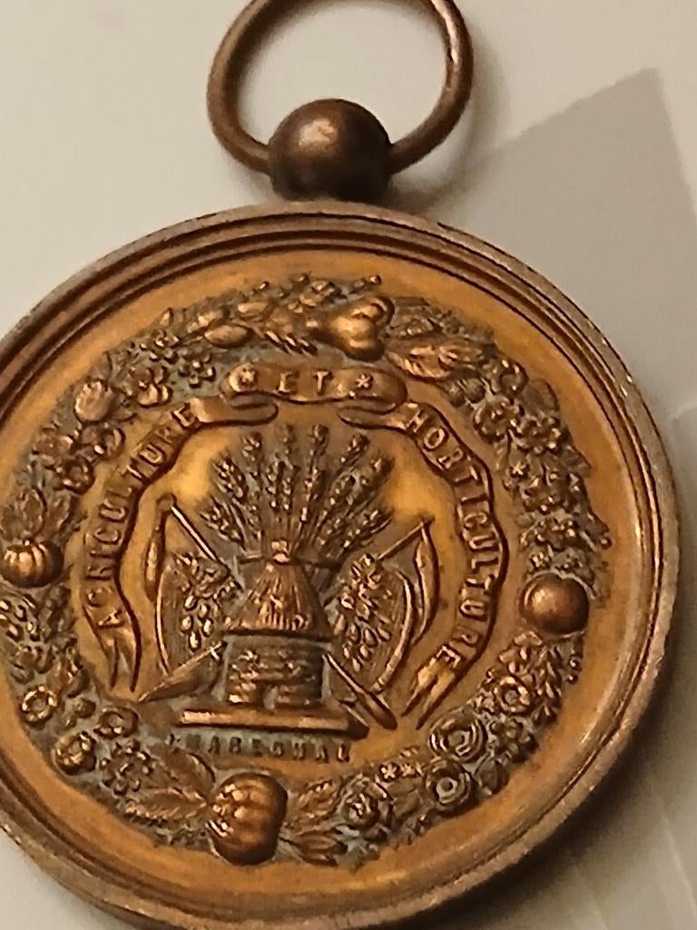 Medaille, Enlèvement ou Envoi, Bronze