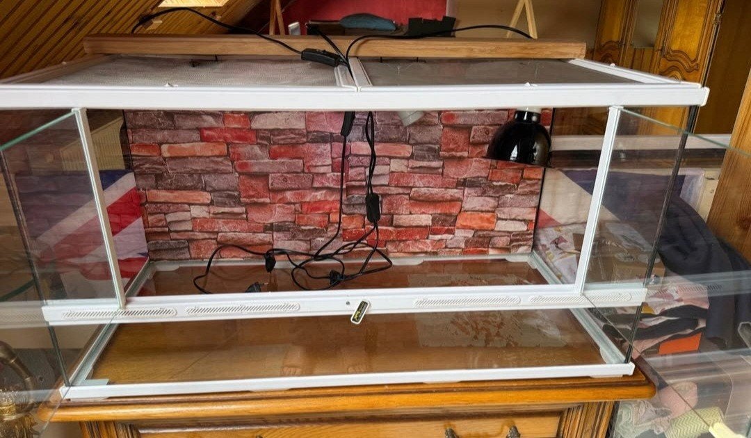 Terrarium petit lézards, Enlèvement, Comme neuf, Terrarium ou Paludarium