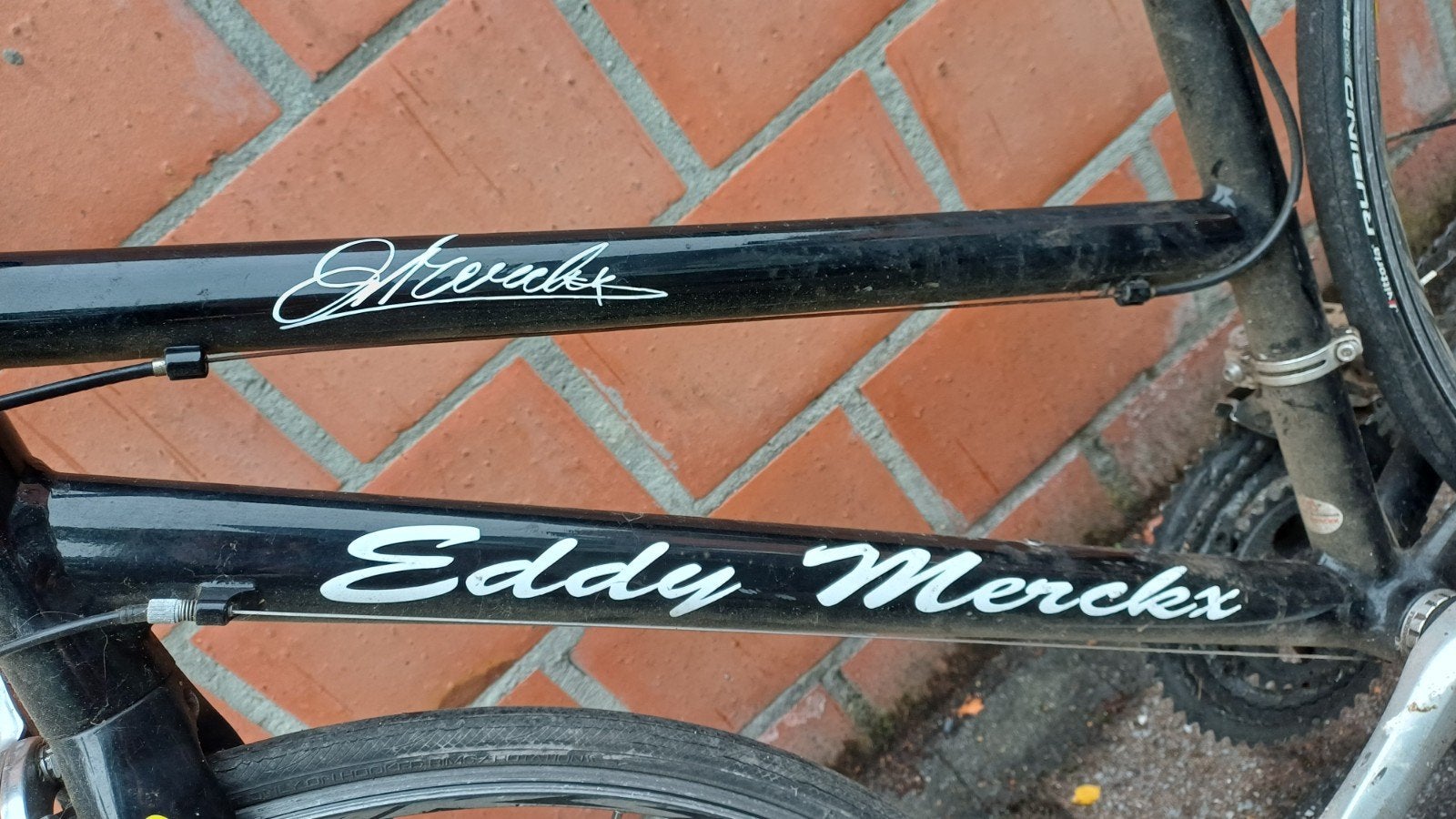 Lady koersfiets Eddy Merckx, Autres marques, Frein sur jante, Enlèvement, Utilisé