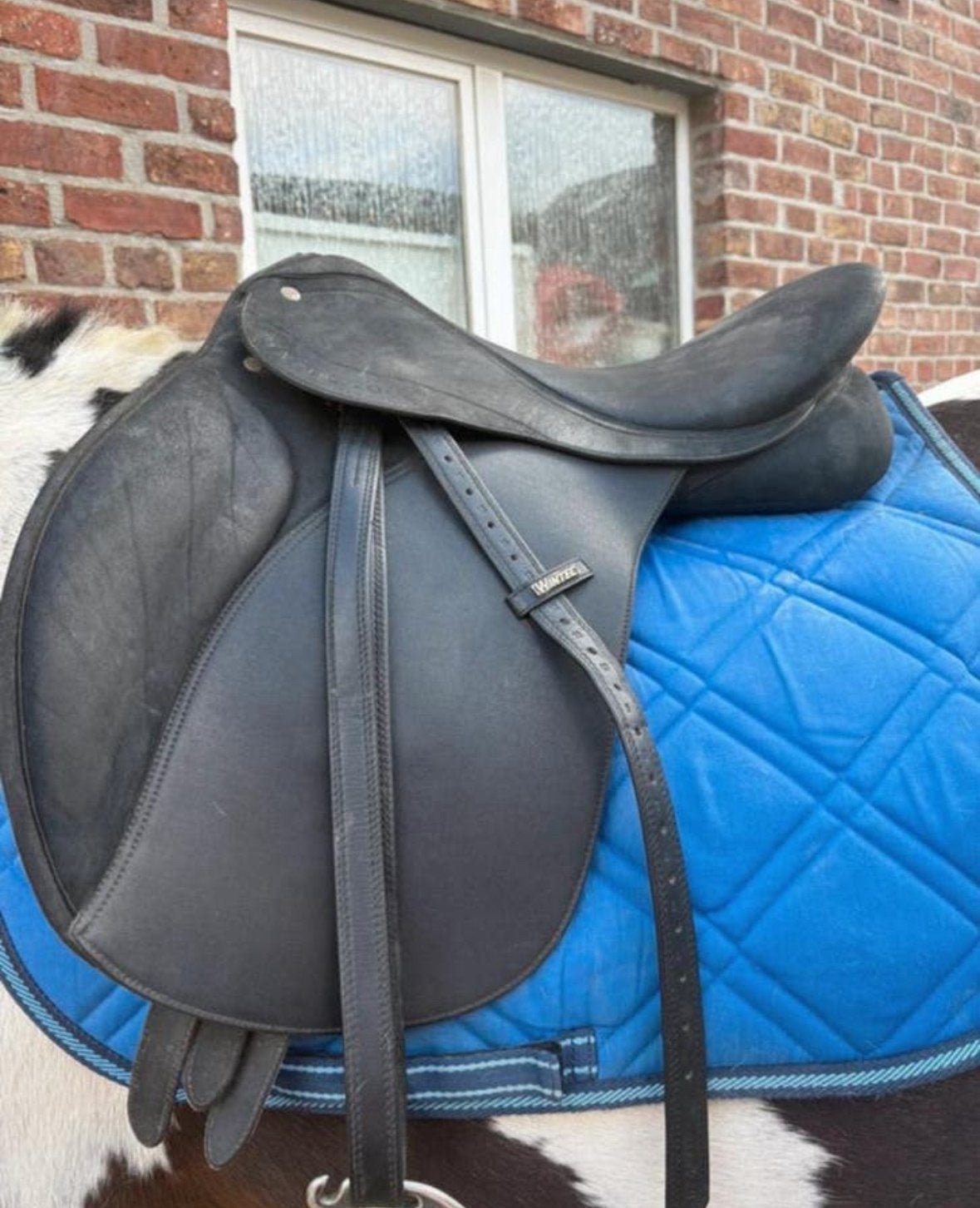 3zadels, Dieren en Toebehoren, Ophalen, Gebruikt, Wintec
