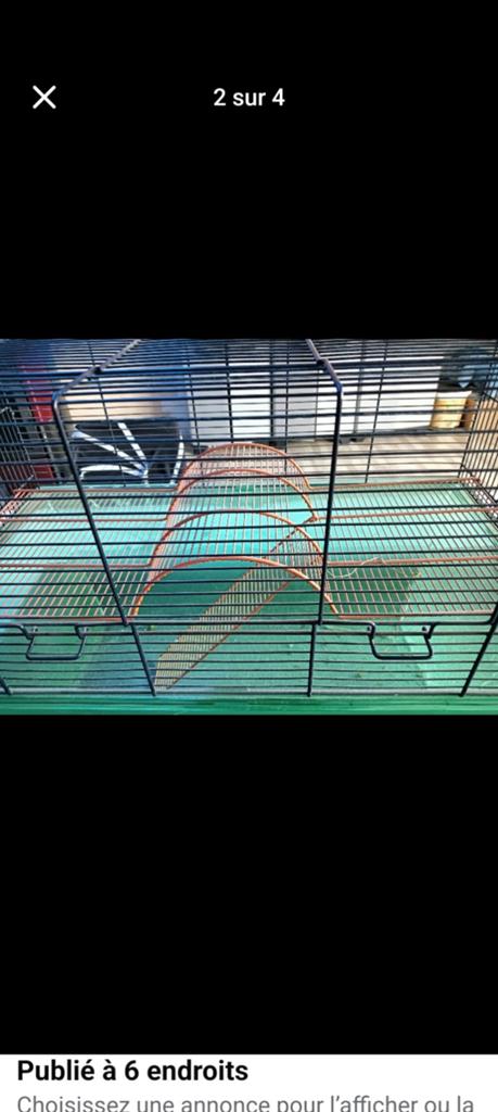 Cage a hamster, Dieren en Toebehoren, Ophalen, Kooi, Hamster