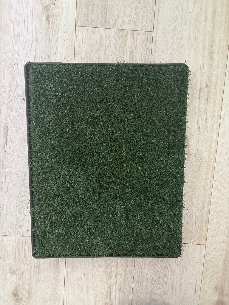 Hond puppy trainer grasmat, Ophalen, Nieuw