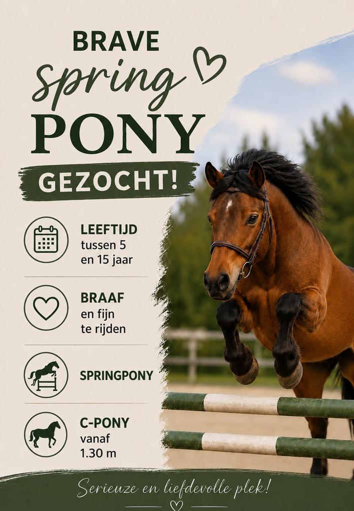 Brave c springpony gezocht, Poney de saut