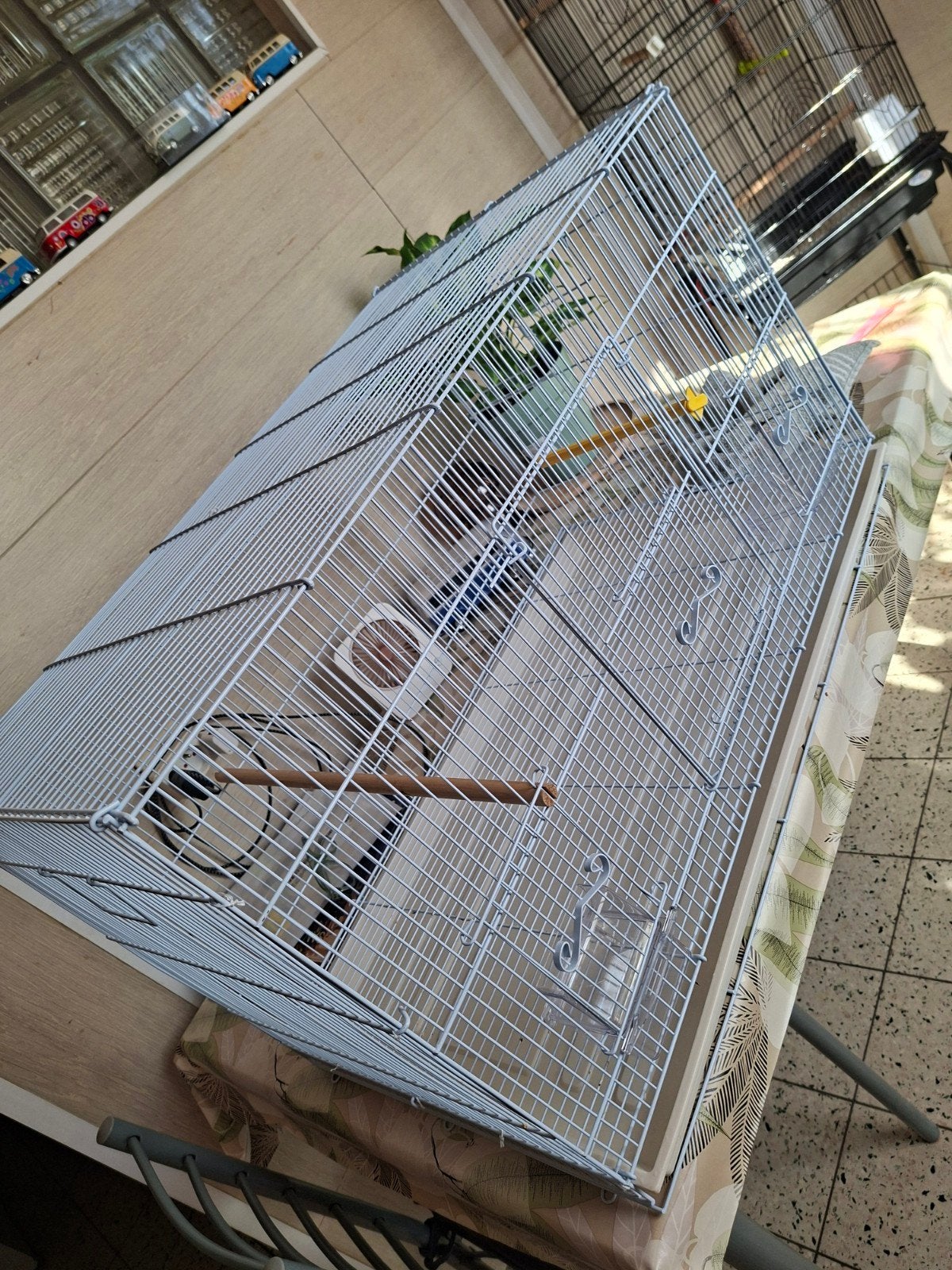 Cage spacieuse, Animaux & Accessoires